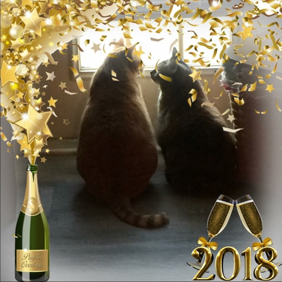 Meet your Posher, Valerie - Picture 1 of 1